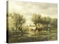 Stretched Canvas