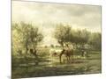 Wood Mount