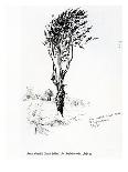 Beech, Godshill Church Behind. Fr. Appledurcombe. July 25, C.1860's (Pencil on Paper)-Gerard Manley Hopkins-Premium Giclee Print