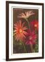 Gerber Daisies-null-Framed Art Print