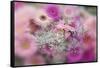 Gerber Daisy Arrangement with Selective Focus-Darrell Gulin-Framed Stretched Canvas