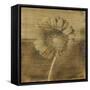 Gerber Daisy I-Casey Mckee-Framed Stretched Canvas