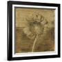 Gerber Daisy I-Casey Mckee-Framed Art Print