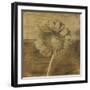 Gerber Daisy I-Casey Mckee-Framed Art Print