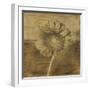 Gerber Daisy I-Casey Mckee-Framed Art Print