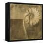 Gerber Daisy III-Casey Mckee-Framed Stretched Canvas