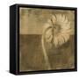 Gerber Daisy III-Casey Mckee-Framed Stretched Canvas