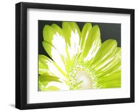 Gerber Time Green II-Herb Dickinson-Framed Photographic Print