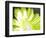 Gerber Time Green II-Herb Dickinson-Framed Photographic Print