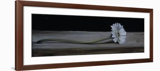 Gerbera, 2009-James Gillick-Framed Premium Giclee Print