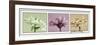 Gerbera Balance-Kory Fluckiger-Framed Giclee Print