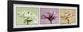 Gerbera Balance-Kory Fluckiger-Framed Giclee Print