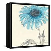 Gerbera Blue II-Chris Paschke-Framed Stretched Canvas