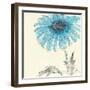 Gerbera Blue II-Chris Paschke-Framed Art Print