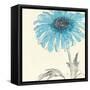 Gerbera Blue II-Chris Paschke-Framed Stretched Canvas