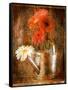 Gerbera Daisies in a Watering Can-Colin Anderson-Framed Stretched Canvas