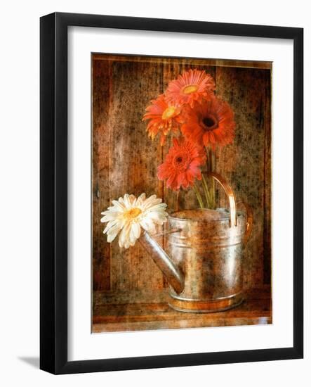 Gerbera Daisies in a Watering Can-Colin Anderson-Framed Photographic Print