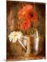 Gerbera Daisies in a Watering Can-Colin Anderson-Mounted Photographic Print