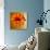 Gerbera Flower as Rising Sun-Winfred Evers-Stretched Canvas displayed on a wall