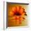 Gerbera Flower as Rising Sun-Winfred Evers-Framed Photographic Print