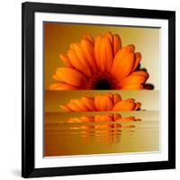 Gerbera Flower as Rising Sun-Winfred Evers-Framed Photographic Print