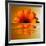 Gerbera Flower as Rising Sun-Winfred Evers-Framed Photographic Print