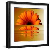 Gerbera Flower as Rising Sun-Winfred Evers-Framed Premium Photographic Print