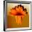 Gerbera Flower Melting, Digital Manipulation-Winfred Evers-Framed Photographic Print