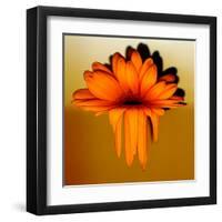 Gerbera Flower Melting, Digital Manipulation-Winfred Evers-Framed Premium Photographic Print