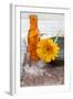 Gerbera, Flower, Orange, Glass Bottle-Andrea Haase-Framed Photographic Print