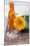 Gerbera, Flower, Orange, Glass Bottle-Andrea Haase-Mounted Photographic Print