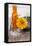 Gerbera, Flower, Orange, Glass Bottle-Andrea Haase-Framed Stretched Canvas