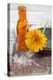Gerbera, Flower, Orange, Glass Bottle-Andrea Haase-Stretched Canvas