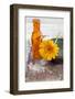 Gerbera, Flower, Orange, Glass Bottle-Andrea Haase-Framed Photographic Print