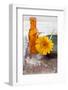 Gerbera, Flower, Orange, Glass Bottle-Andrea Haase-Framed Photographic Print