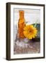 Gerbera, Flower, Orange, Glass Bottle-Andrea Haase-Framed Photographic Print