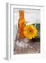 Gerbera, Flower, Orange, Glass Bottle-Andrea Haase-Framed Photographic Print