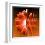 Gerbera Flower Vertical Slivers-Winfred Evers-Framed Premium Photographic Print