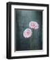 Gerbera, Flowers, Blossoms, Pink, Still Life-Axel Killian-Framed Photographic Print