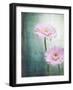 Gerbera, Flowers, Blossoms, Pink, Still Life-Axel Killian-Framed Photographic Print