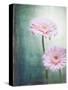 Gerbera, Flowers, Blossoms, Pink, Still Life-Axel Killian-Stretched Canvas