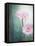 Gerbera, Flowers, Blossoms, Pink, Still Life-Axel Killian-Framed Stretched Canvas