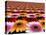 Gerbera Flowers Multiplied in Tiles-Winfred Evers-Stretched Canvas