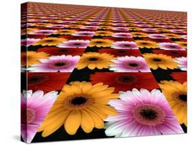 Gerbera Flowers Multiplied in Tiles-Winfred Evers-Stretched Canvas