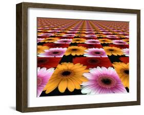 Gerbera Flowers Multiplied in Tiles-Winfred Evers-Framed Photographic Print