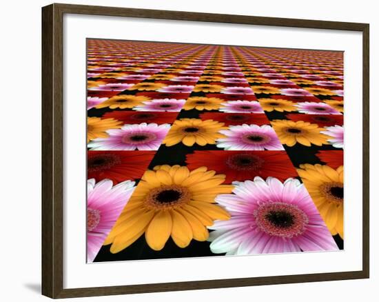 Gerbera Flowers Multiplied in Tiles-Winfred Evers-Framed Photographic Print