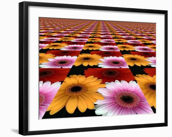 Gerbera Flowers Multiplied in Tiles-Winfred Evers-Framed Photographic Print