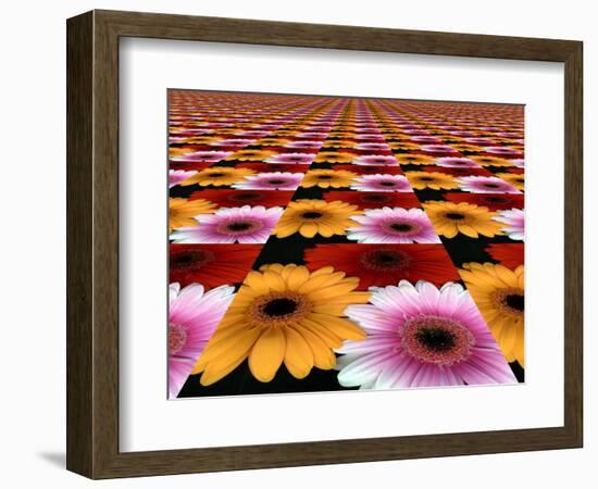 Gerbera Flowers Multiplied in Tiles-Winfred Evers-Framed Photographic Print