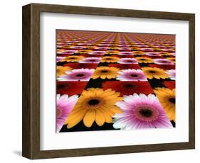 Gerbera Flowers Multiplied in Tiles-Winfred Evers-Framed Photographic Print