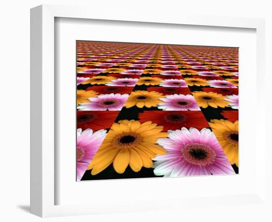 Gerbera Flowers Multiplied in Tiles-Winfred Evers-Framed Photographic Print